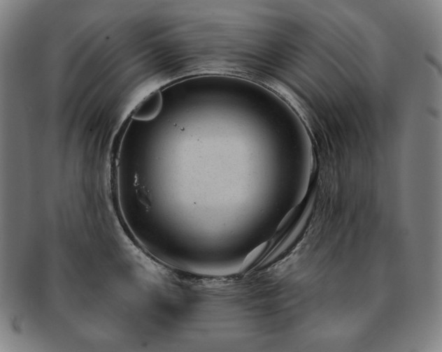 X0000091471147200708231333