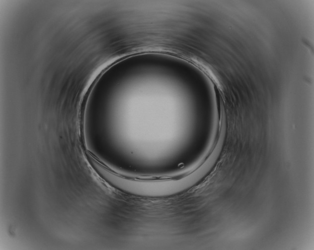 X0000091471148200708231333