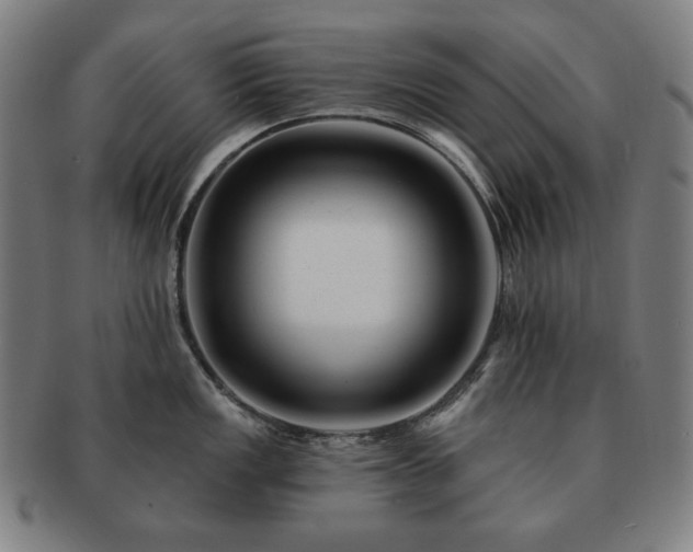 X0000091471149200708231333