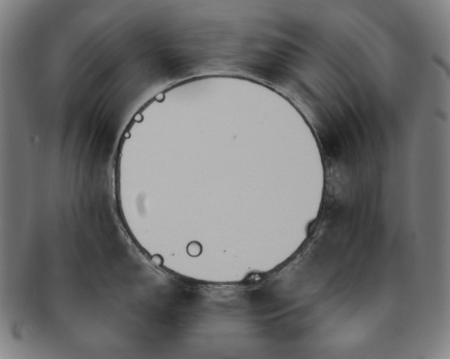 X0000091471150200708231333