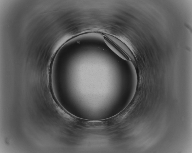 X0000091471151200708231333