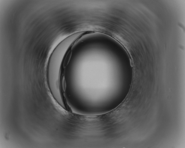 X0000091471152200708231333