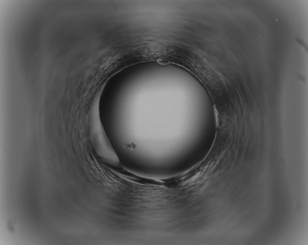 X0000091471153200708231332