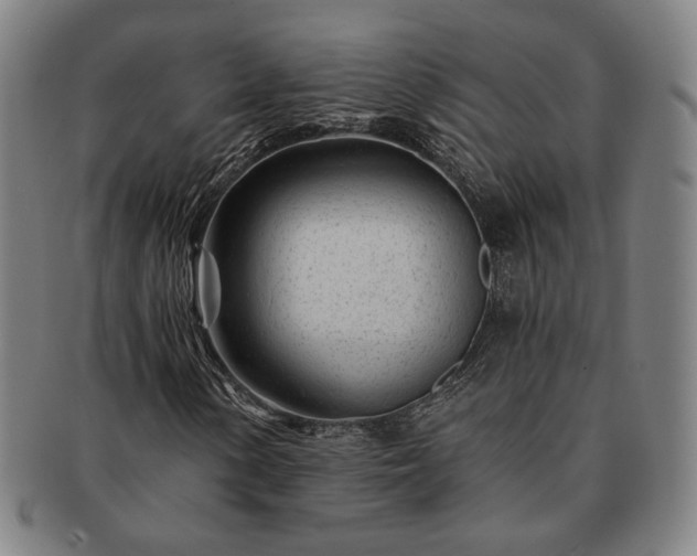 X0000091471154200708231332