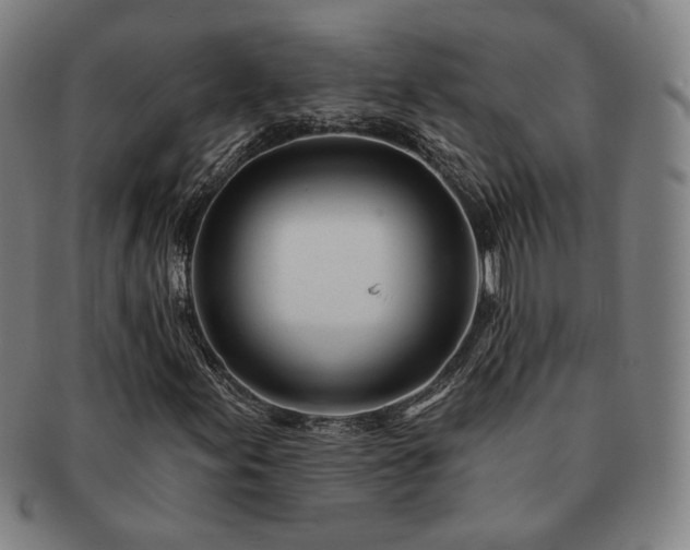 X0000091471155200708231332