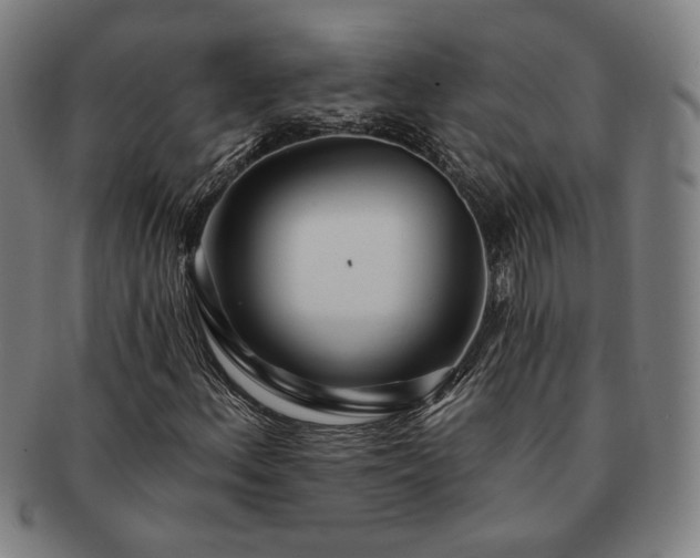 X0000091471156200708231332