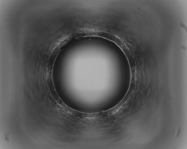 X0000091471157200708231332