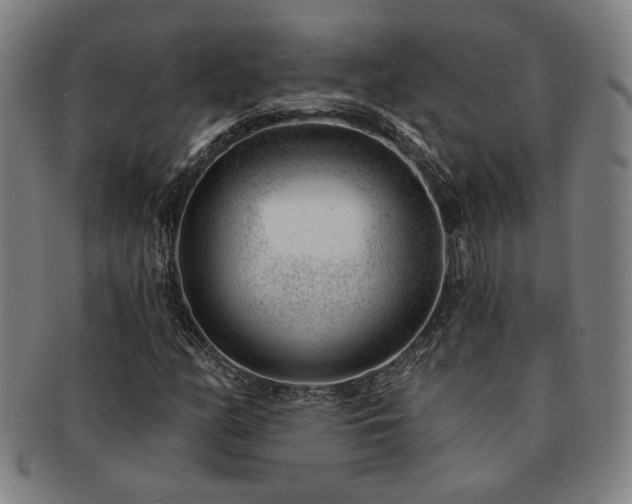 X0000091471158200708231332