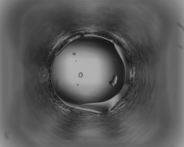 X0000091471160200708231332