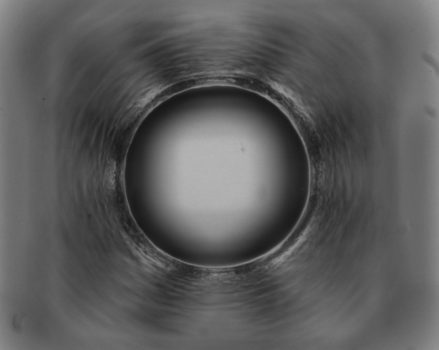 X0000091471161200708231332