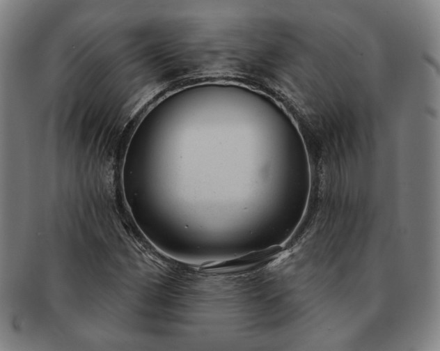 X0000091471162200708231332