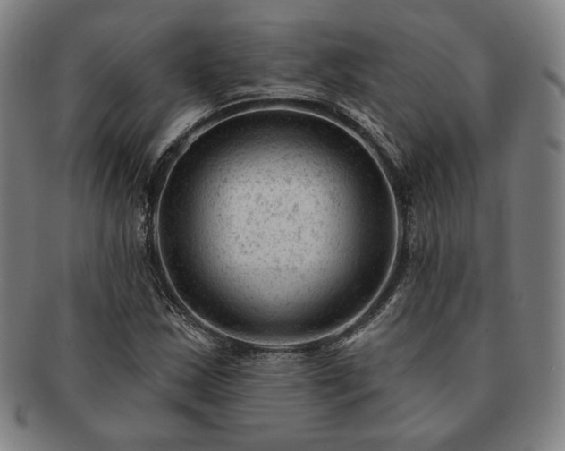 X0000091471163200708231332