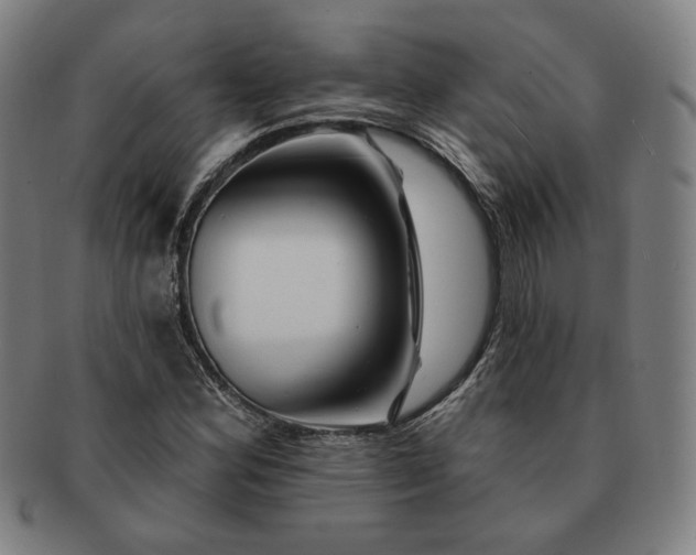 X0000091471164200708231332