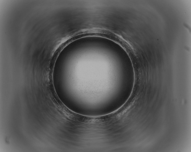 X0000091471166200708231332