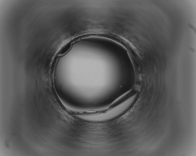 X0000091471168200708231332