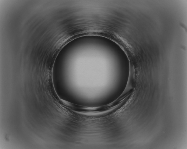 X0000091471169200708231332