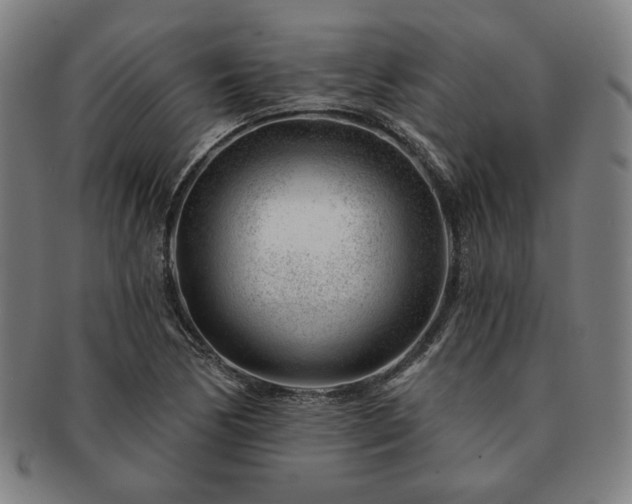 X0000091471170200708231332