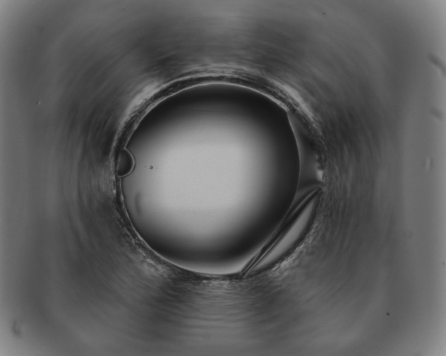 X0000091471172200708231332