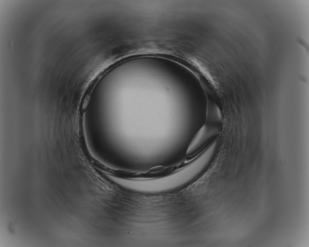 X0000091471173200708231332