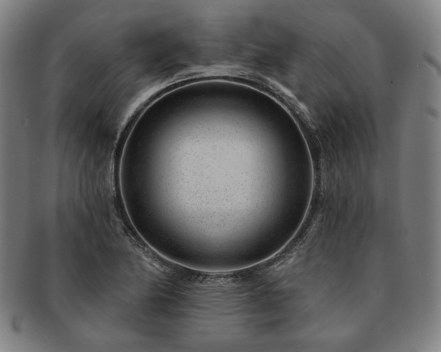 X0000091471174200708231332