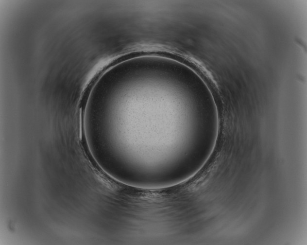 X0000091471175200708231332