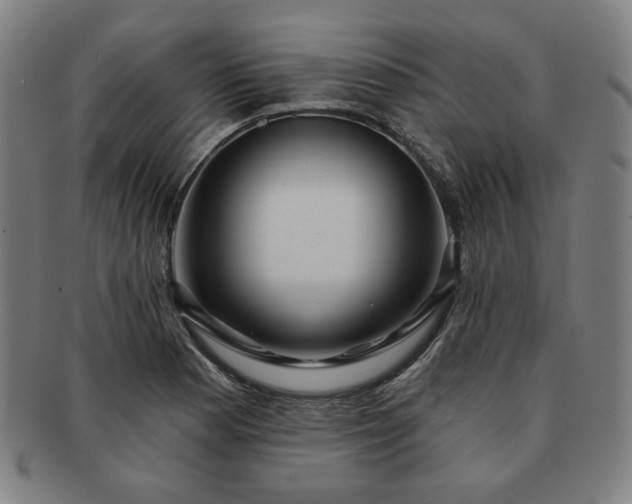 X0000091471177200708231332