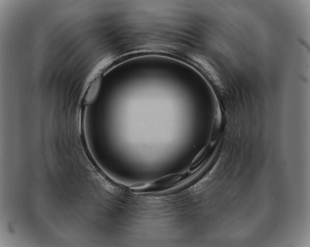 X0000091471180200708231332