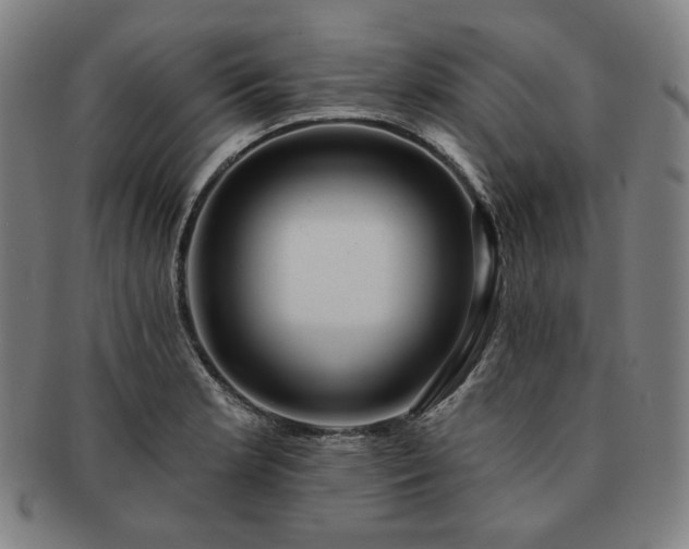 X0000091471181200708231332