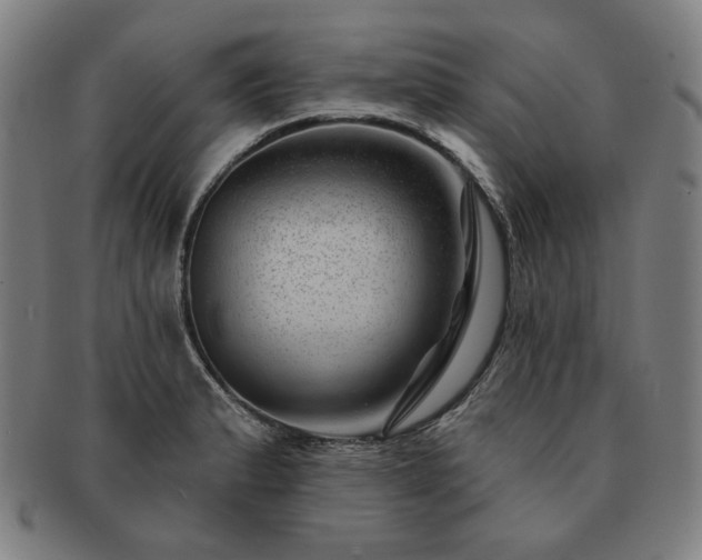 X0000091471183200708231332