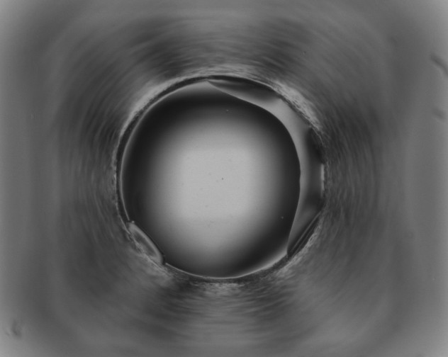 X0000091471184200708231332