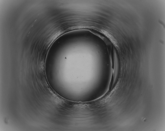 X0000091471185200708231332