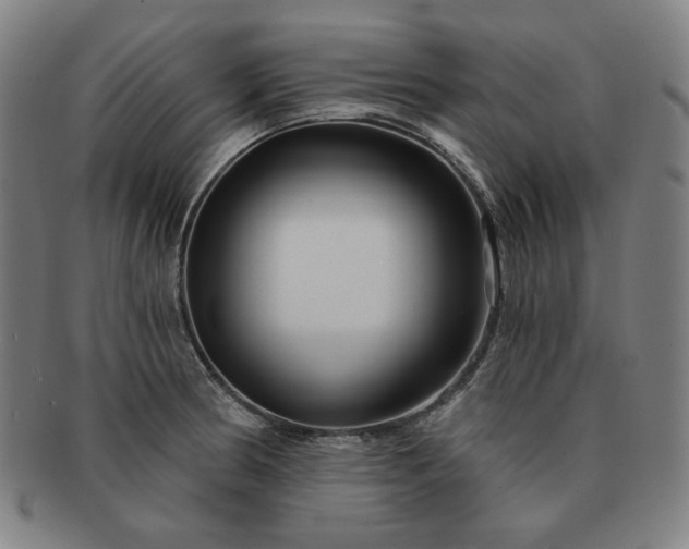 X0000091471186200708231331