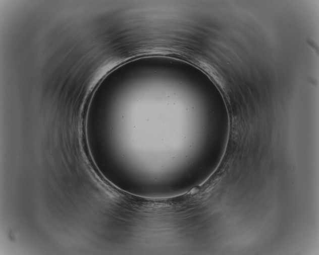 X0000091471187200708231331