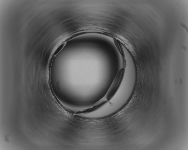 X0000091471188200708231331