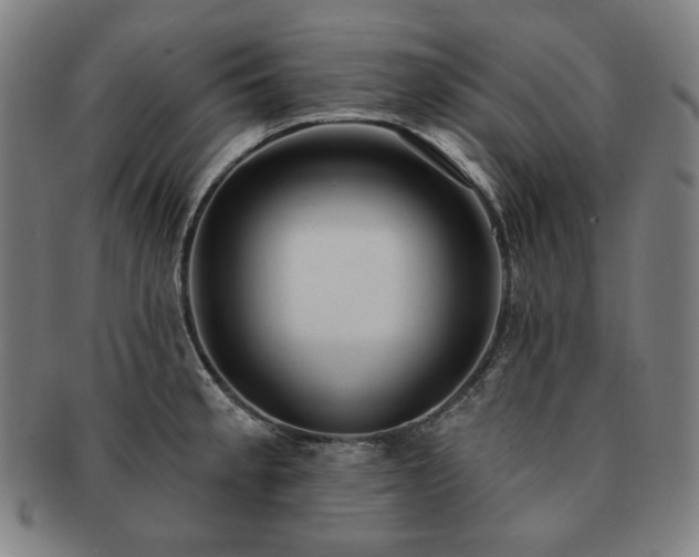 X0000091471189200708231331