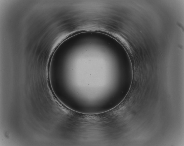 X0000091471191200708231331