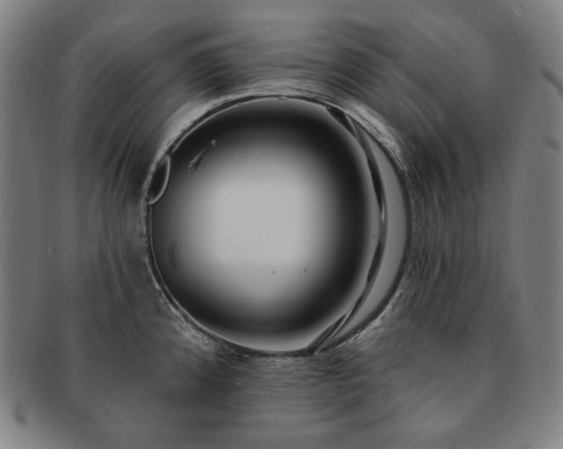 X0000091471192200708231331