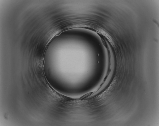 X0000091471193200708231331