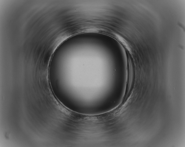 X0000091471194200708231331