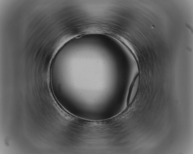 X0000091471195200708231331