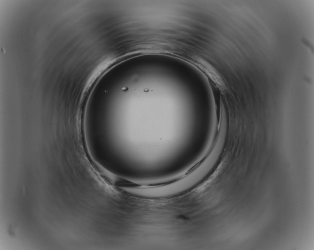 X0000091471196200708231331