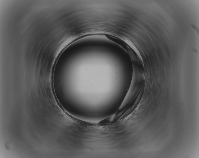 X0000091471197200708231331