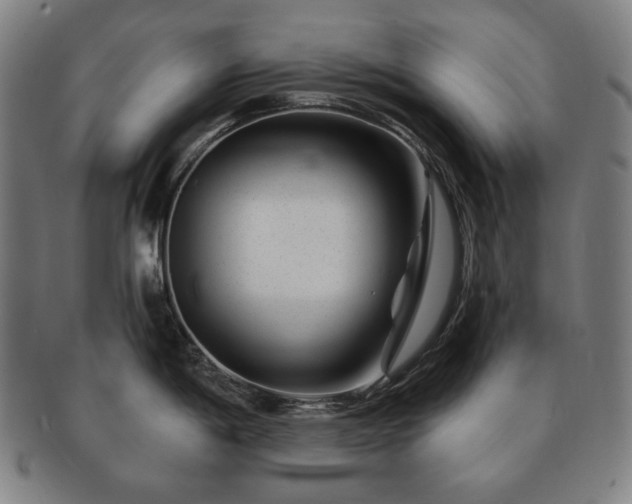 X0000091471198200708231331