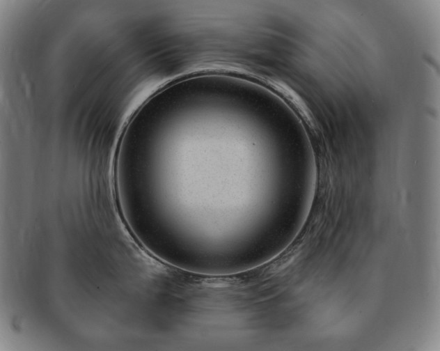 X0000091471199200708231331