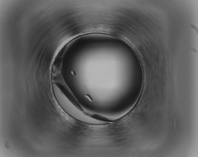 X0000091471200200708231331