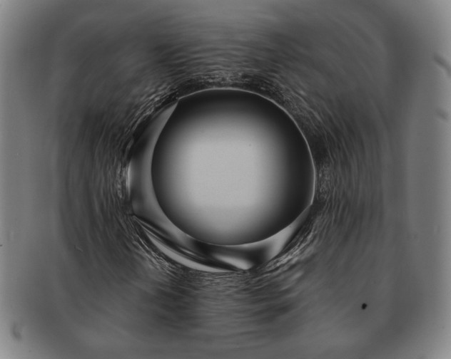 X0000091471202200708231331