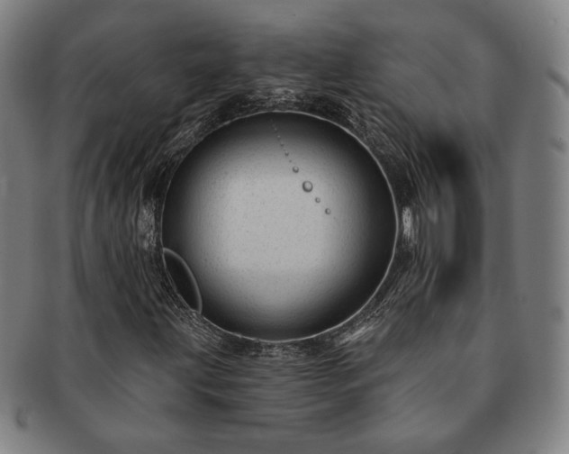 X0000091471203200708231331