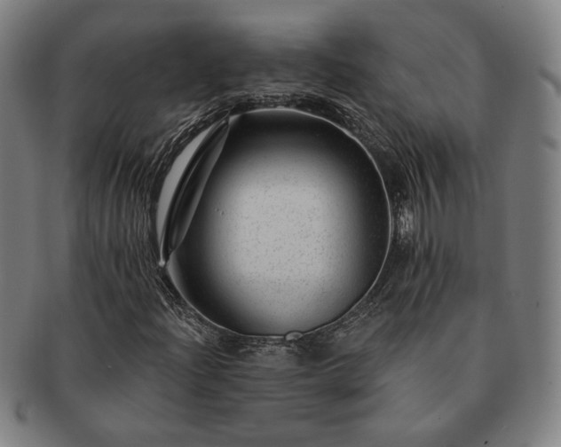 X0000091471204200708231331