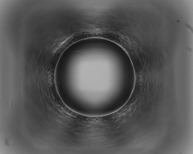 X0000091471205200708231331