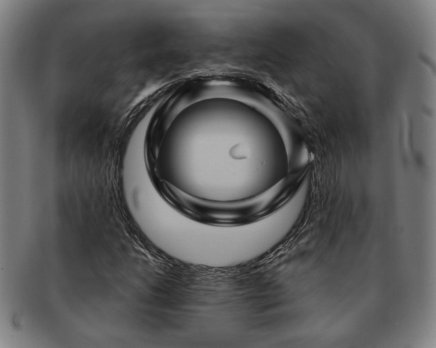 X0000091471206200708231331